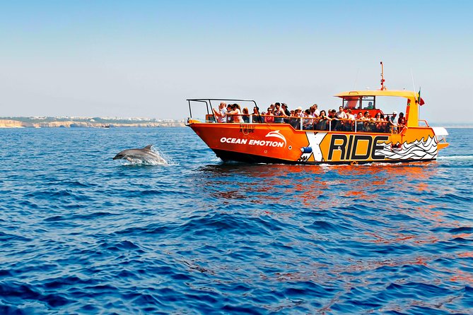 Dolphin Watching and Caves Cruise - Key highlights worth clocking