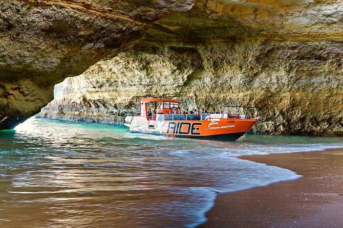 Dolphin Watching and Caves Cruise - How the Crew Keeps the Trip Comfortable and Organized