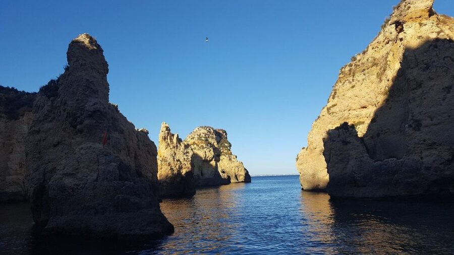 Dolphin Watching and Local Caves - What Makes This Tour Worth Your Time