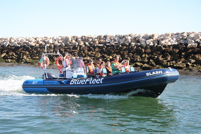 Dolphin Watching from Lagos with Marine Biologists - Algarve coast views on the way back, including Ponta de Piedade