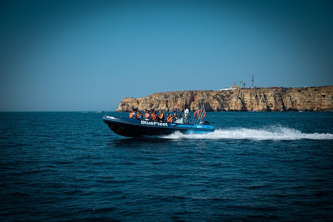 Dolphin Watching from Lagos with Marine Biologists - Should you book Bluefleet’s Lagos dolphin watching tour?