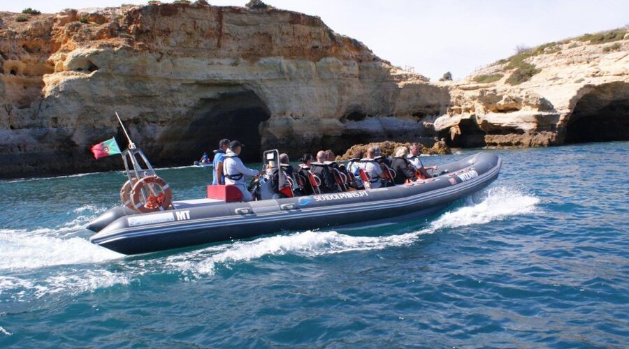 Dolphins Watching - Portimão - Key things to know before you go