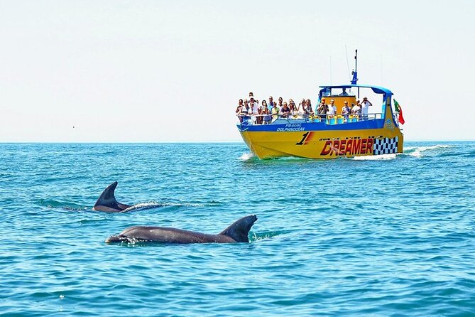 Dreamer Cave and Dolphins Boat Tour Ticket Albufeira - Quick hits before you go