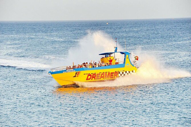 Dreamer Cave and Dolphins Boat Tour Ticket Albufeira - Open sea dolphins: what to expect and how to give yourself the best shot