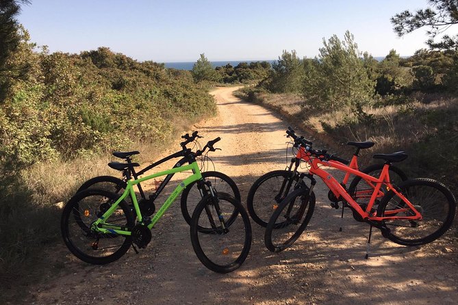 E-Bike Tour: Sete Vales Suspensos Trail (Marinha and Benagil) - Stop-by-stop: Benagil views, Marinha cliffs, and Albandeira beach time