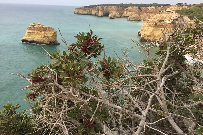 E-Bike Tour: Sete Vales Suspensos Trail (Marinha and Benagil) - Guide style: safety, pacing, and real local storytelling