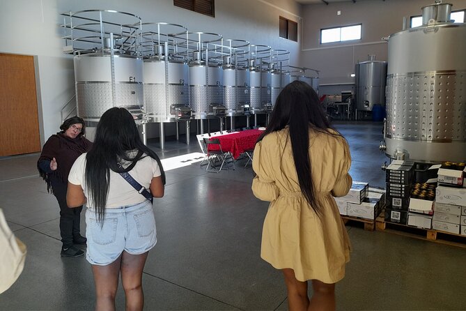 Enjoy The Algarvian Wine Taste & Coast Line Private Van Tour - Morning Logistics: 9:00 Start, Private Van, Mobile Ticket