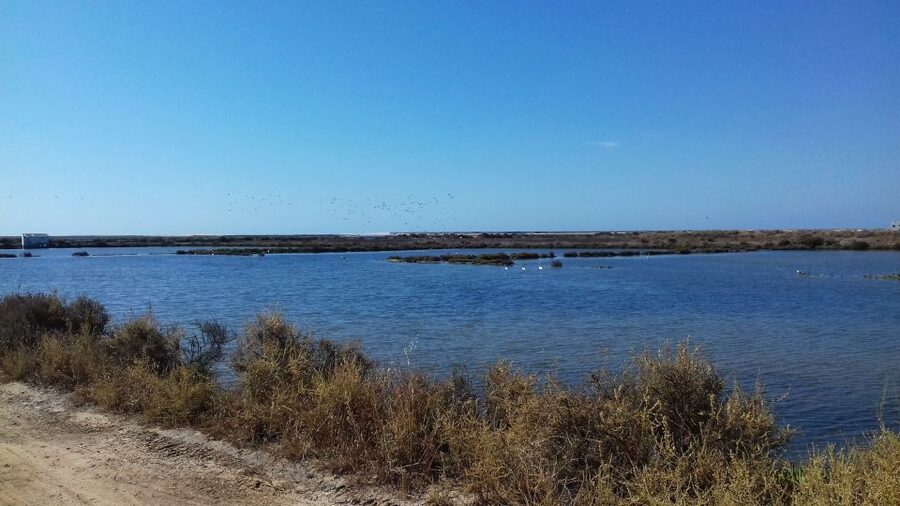 Faro Bike Tour through the Beautiful Ria Formosa - Key highlights to look for