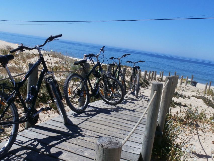 Faro Bike Tour through the Beautiful Ria Formosa - Should you book this Faro Bike Tour through the Ria Formosa?