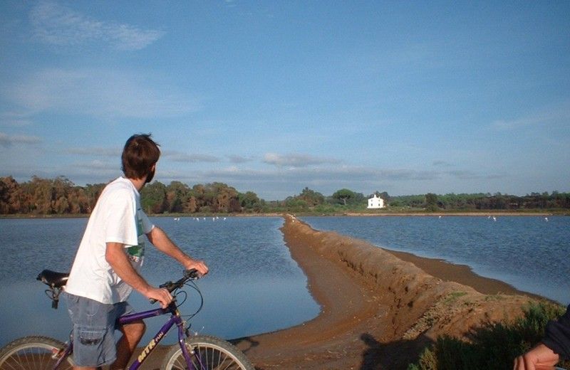 Faro Bike Tour through the Beautiful Ria Formosa - Saltpans birdwatching with binocular time and flamingo odds