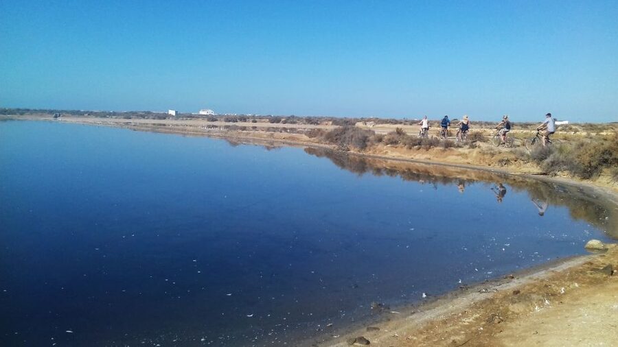 Faro Bike Tour through the Beautiful Ria Formosa - Marshlands and channels: pedaling through protected wetlands