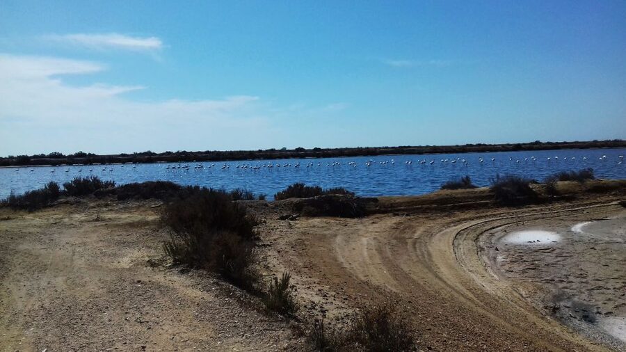 Faro Bike Tour through the Beautiful Ria Formosa - Bikes, safety gear, and what to pack for 3 hours outside