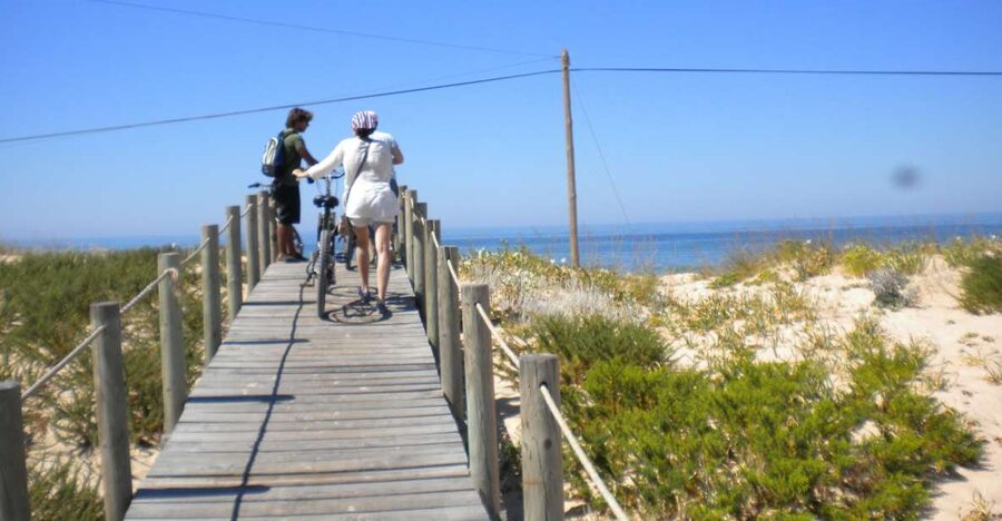 Faro Bike Tour through the Beautiful Ria Formosa - Price and value: what $58 covers, and what you still control