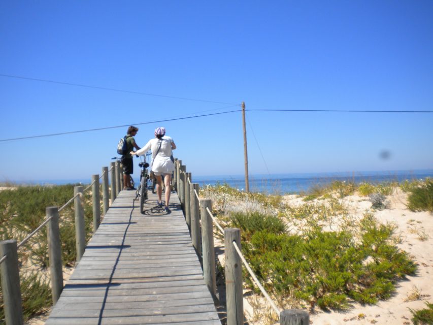 Faro Bike Tour through the Beautiful Ria Formosa - Who this tour suits best, and who should think twice