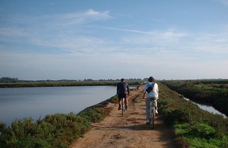Faro Bike Tour through the Beautiful Ria Formosa - Meeting at Pure Nature Store in Faro, then getting rolling