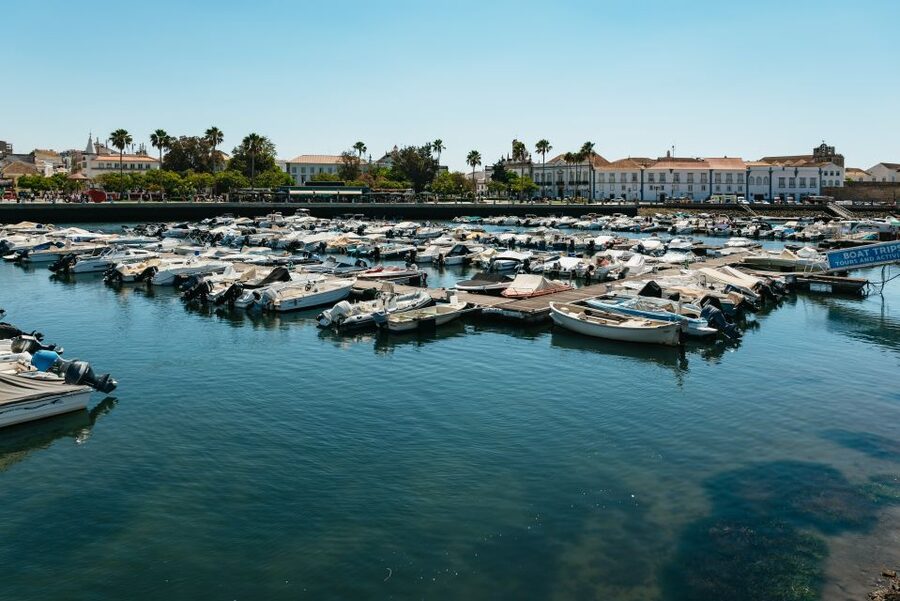 Faro: Deserta Island and Farol Island Catamaran Boat Trip - Key highlights at a glance