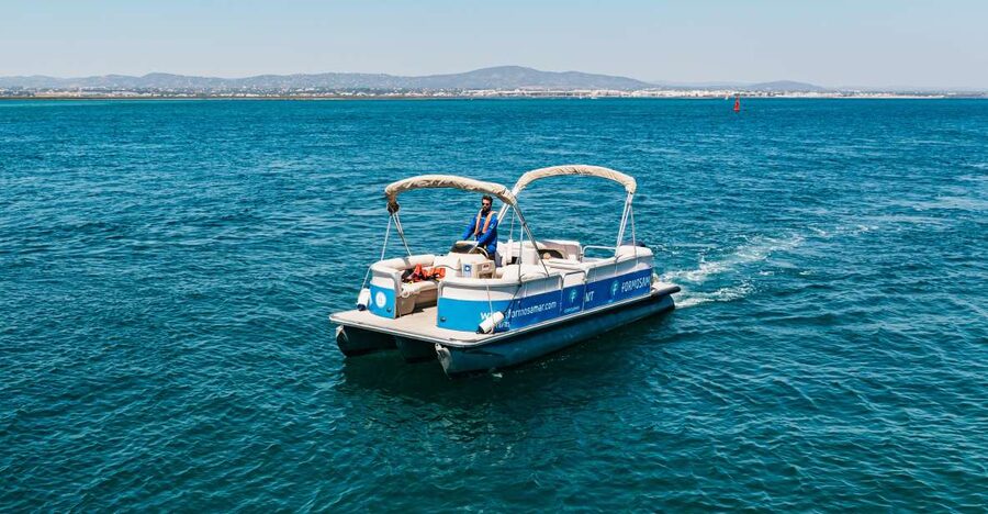 Faro: Deserta Island and Farol Island Catamaran Boat Trip - Deserta (Barreta) Island: the “less is more” beach break