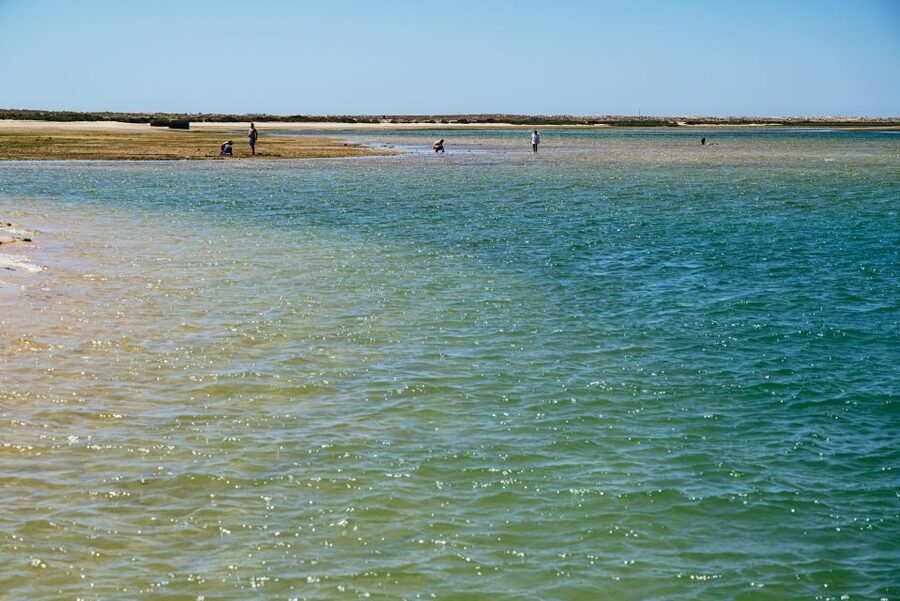 Faro: Deserta Island and Farol Island Catamaran Boat Trip - What to bring so you don’t spend the day annoyed