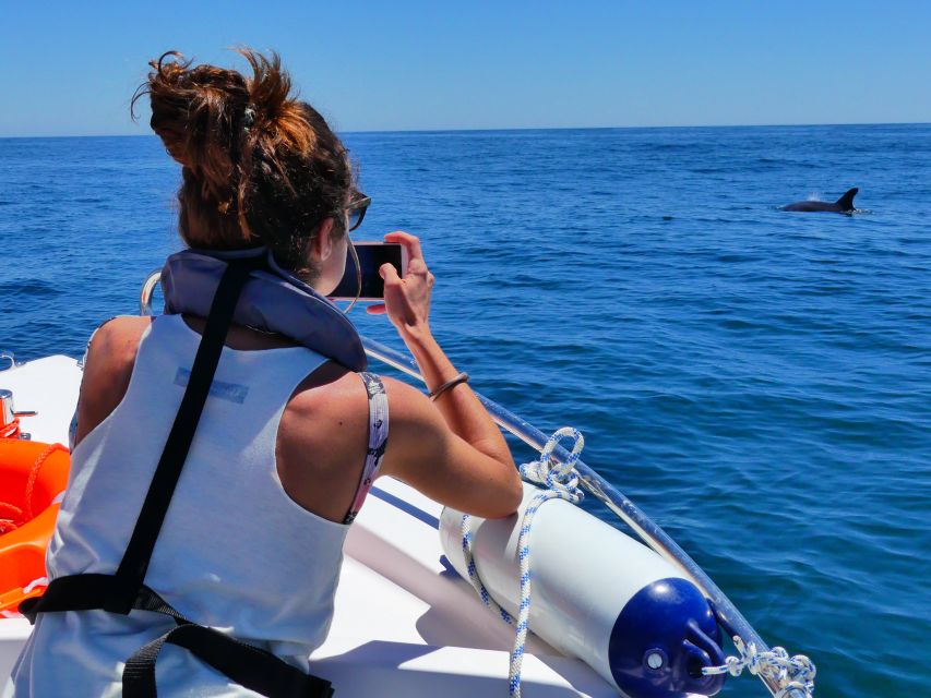 Faro: Dolphin and Wildlife Watching in the Atlantic Ocean - Should You Book This Dolphin and Wildlife Tour from Faro?