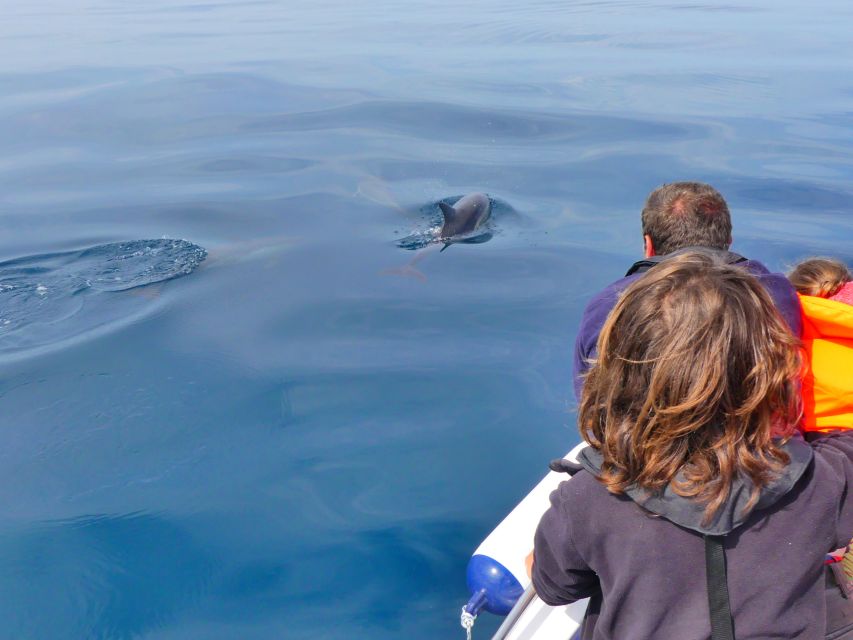 Faro: Dolphin and Wildlife Watching in the Atlantic Ocean - The View Stops: Barrier Islands and Marshland Scenery You’ll Remember