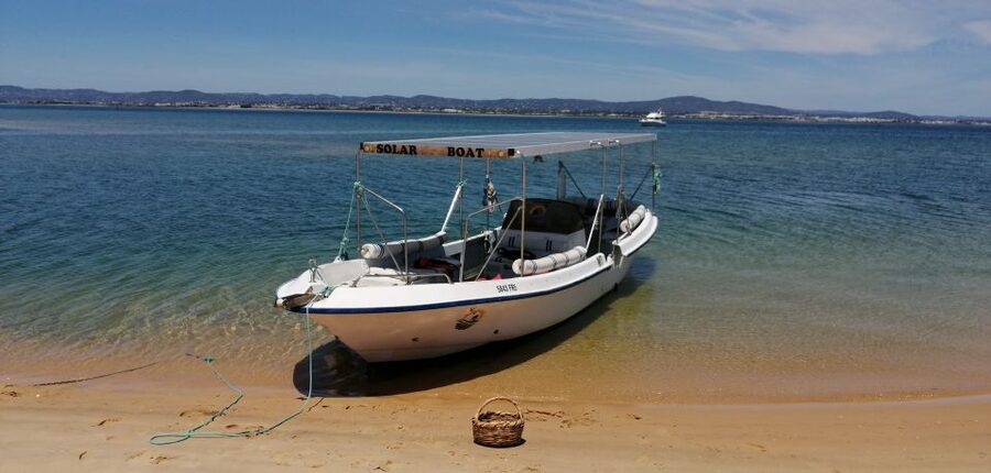 Faro: Eco-Friendly Ria Formosa Bird Watching in Solar Boat - How the Guide Works With Your Eyes: Binoculars, ID Help, and Real Scanning Skills