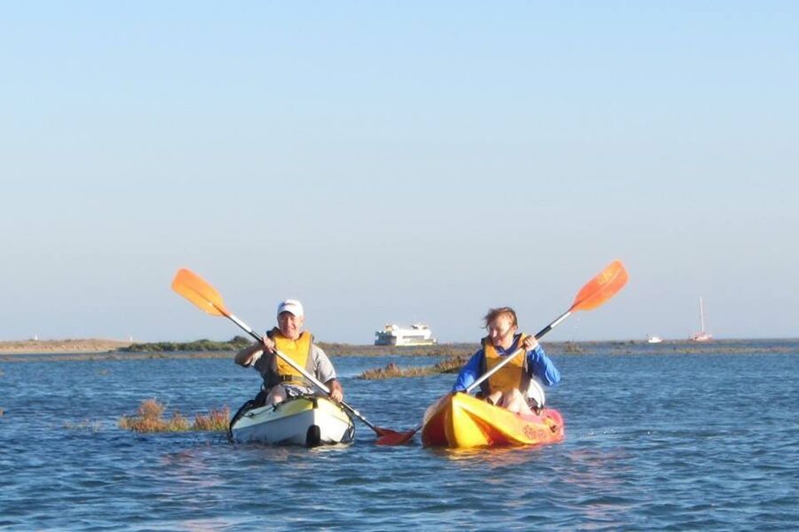 Faro: Kayak Hire in Ria Formosa Natural Park - Who This Kayak Hire Works Best For