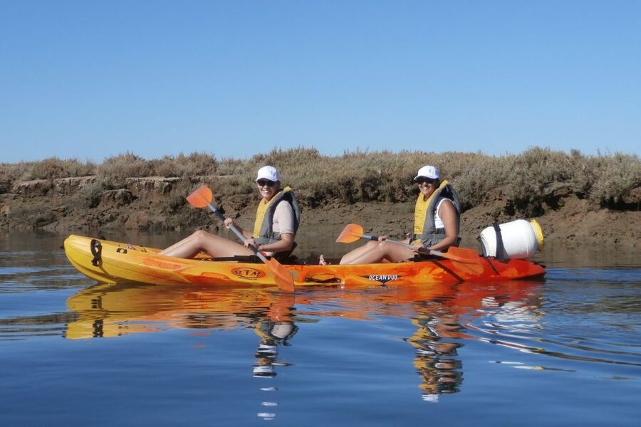 Faro: Kayak Hire in Ria Formosa Natural Park - Why Kayak Ria Formosa From Faro Marina