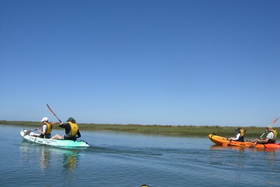 Faro: Kayak Hire in Ria Formosa Natural Park - What the Water Feels Like: Wind, Effort, and Wildlife Up Close