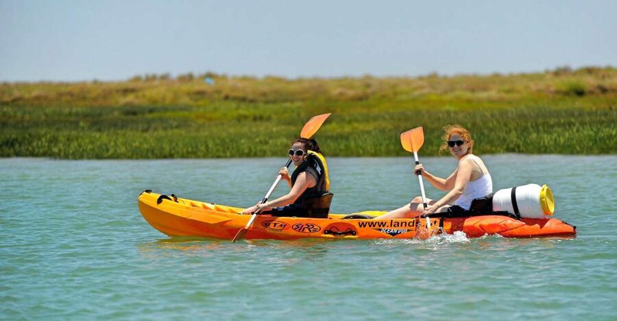 Faro: Kayak Hire in Ria Formosa Natural Park - Price and Value: About $40 pp, What You Get, and What You Don’t