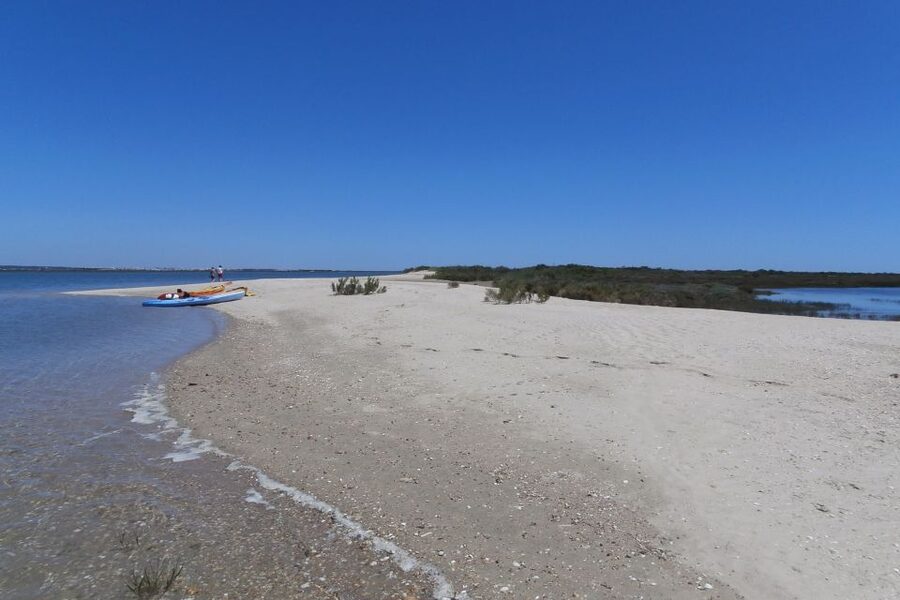 Faro: Kayak Hire in Ria Formosa Natural Park - What to Bring for a Comfortable Kayak Day in the Algarve