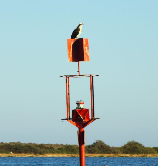 Faro: Pudim Real Boat Tours 6h guided boat tour Ria Formosa - Key points before you go