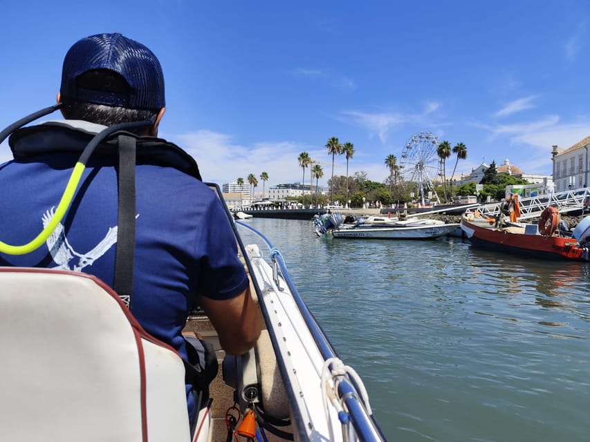 Faro: Pudim Real Boat Tours 6h guided boat tour Ria Formosa - Back to Faro by 3:30 pm: why the timing is smart
