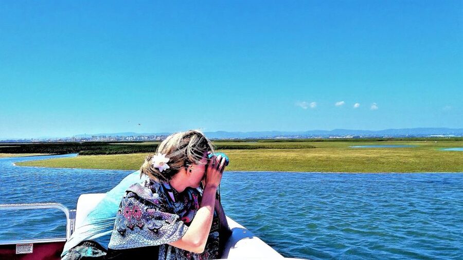 Faro: Ria Formosa Boat Tour - Timing, comfort, and what the 1.5 hours feels like