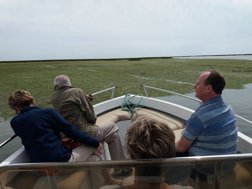 Faro: Ria Formosa Boat Tour - Price and value: what $31 gets you in Faro