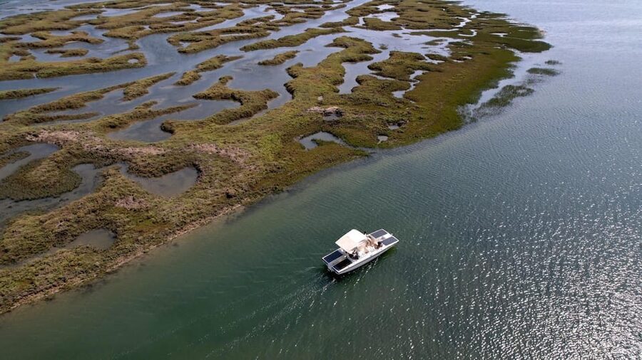 Faro: Ria Formosa Boat Tour by Eco-Friendly Solar Boat - Key highlights worth knowing