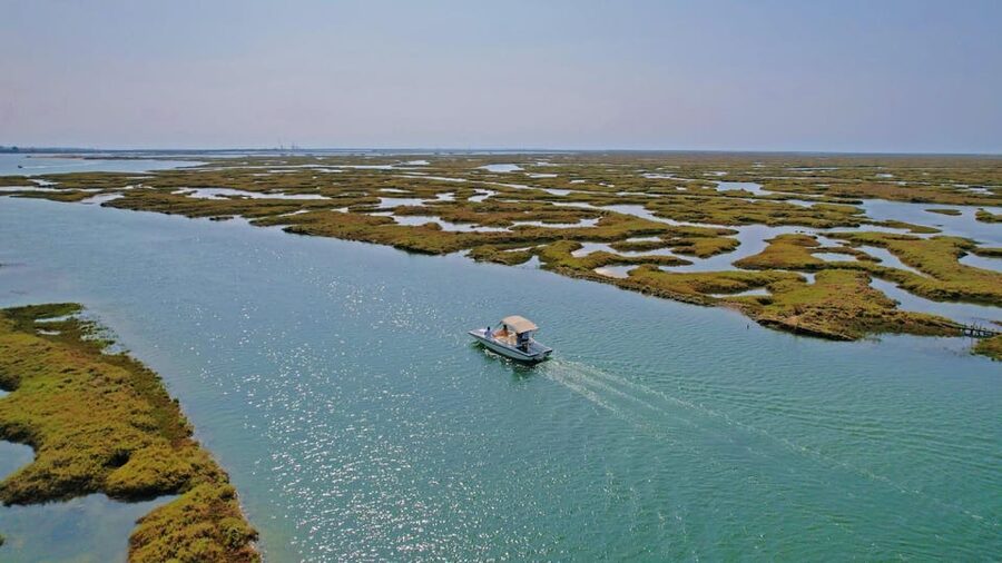 Faro: Ria Formosa Boat Tour by Eco-Friendly Solar Boat - Faro to Ria Formosa: Why This Solar Boat Tour Works So Well