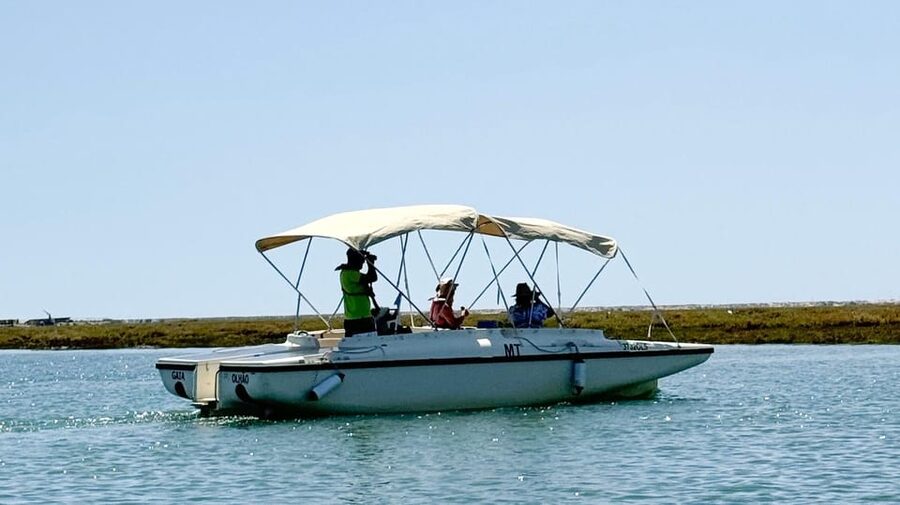 Faro: Ria Formosa Boat Tour by Eco-Friendly Solar Boat - The Solar Boat Experience: Quiet, Comfortable, and Designed for the Water
