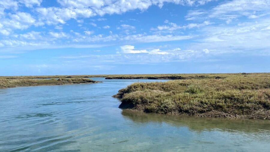 Faro: Ria Formosa Boat Tour by Eco-Friendly Solar Boat - One Hour Through the Parque Natural da Ria Formosa: What the Cruise Feels Like