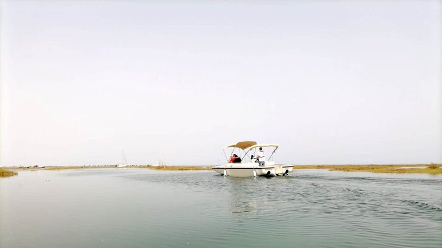 Faro: Ria Formosa Boat Tour by Eco-Friendly Solar Boat - Live Commentary That Actually Adds Up