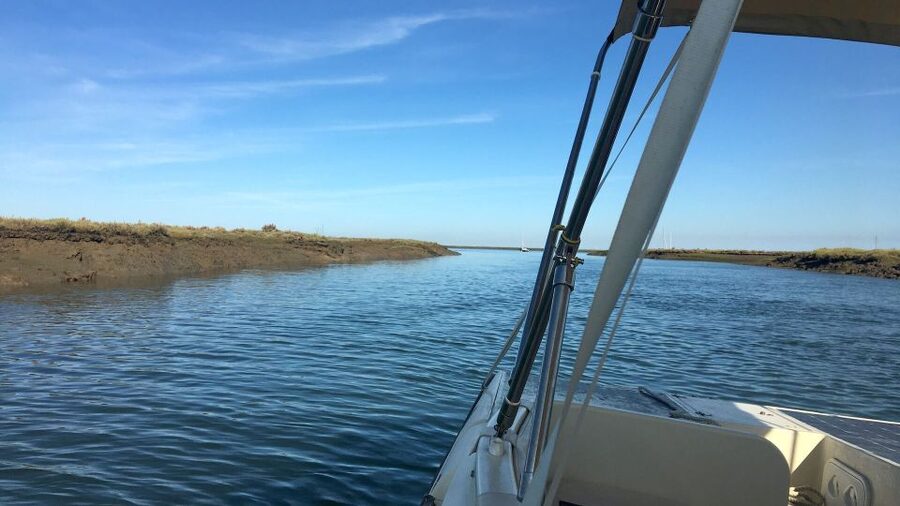 Faro: Ria Formosa Boat Tour by Eco-Friendly Solar Boat - Practical Booking Tips for a Smooth Day