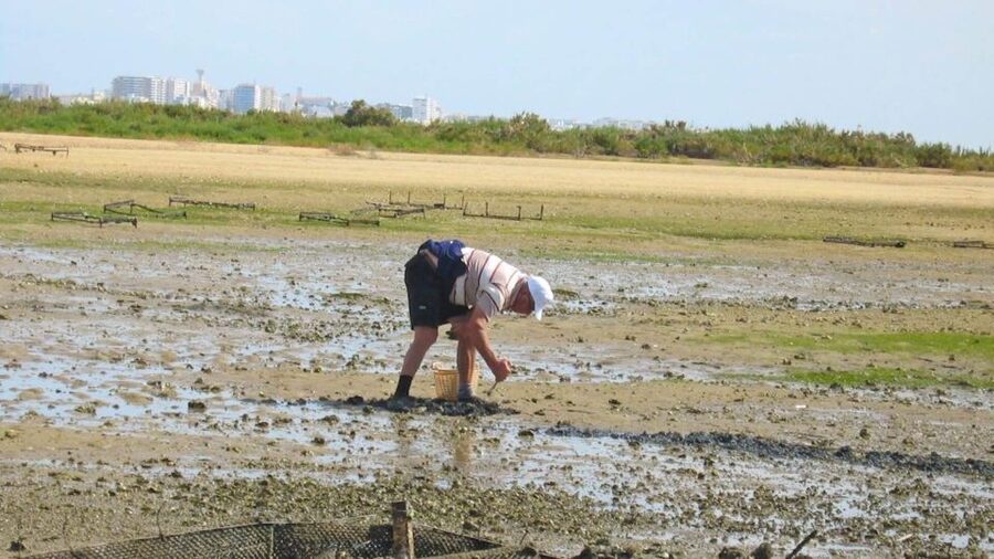 Faro: Ria Formosa Eco Birdwatching Boat Tour - The guide makes the difference, Andre and Luis as examples