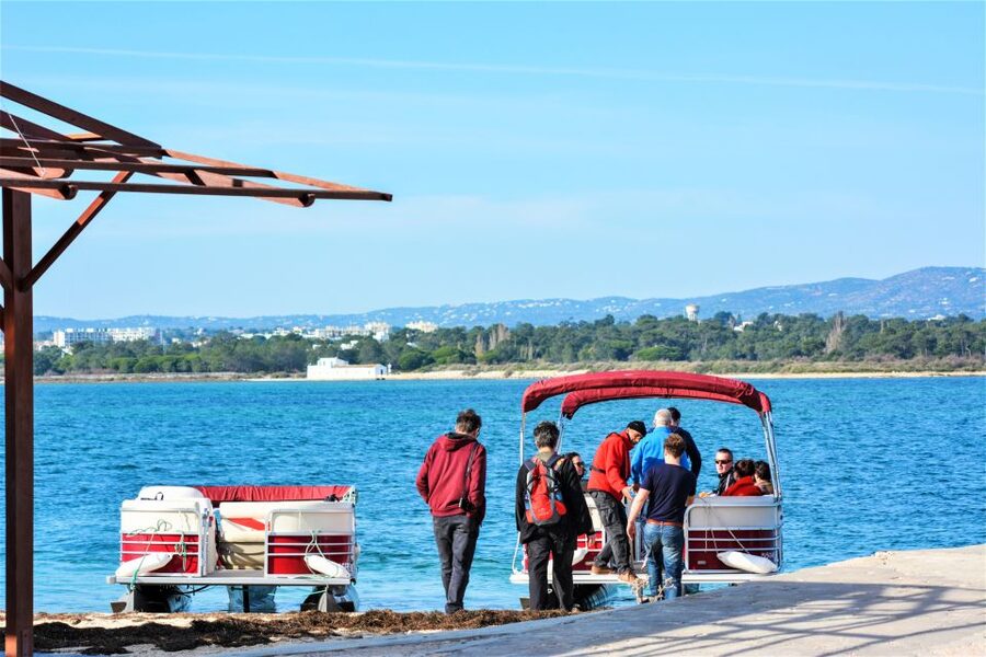 Faro: Ria Formosa Faro Islands Boat Tour - Sailing the Ria Formosa Channels: Wildlife Depends on Season and Tide