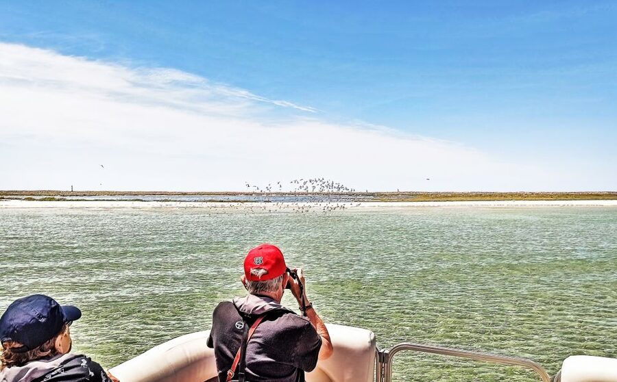 Faro: Ria Formosa Faro Islands Boat Tour - Barreta, Farol, Deserta, and the In-Between Cruising That Connects It All