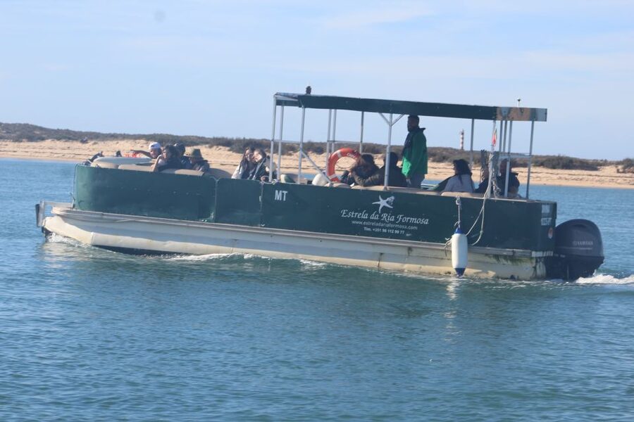 Faro: Ria Formosa Guided Sunset Tour by Catamaran - Guide Style: Pedro, Juan, and Filipe Make It Fun