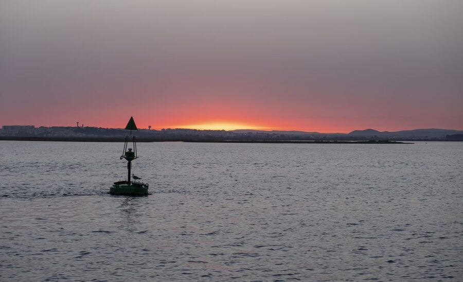 Faro: Ria Formosa Guided Sunset Tour by Catamaran - Price and What You Actually Get for $35