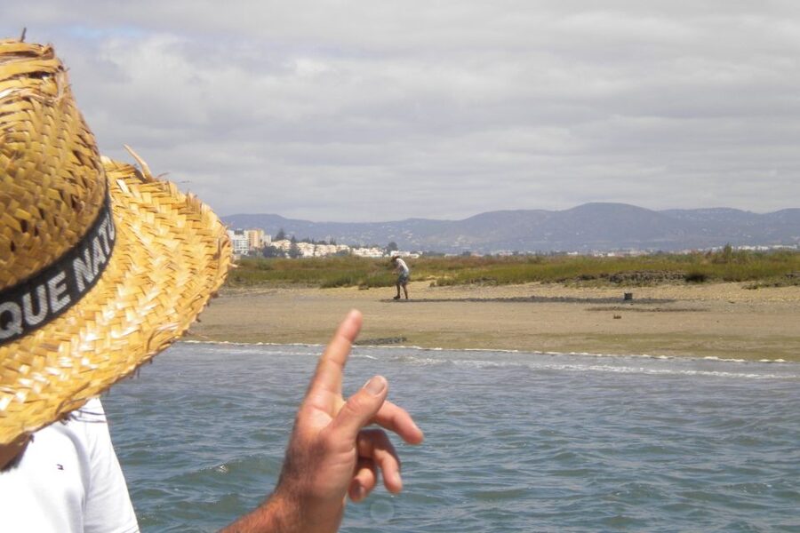 Faro: Ria Formosa Lagoon Small Boat Tour with Local Guide - Seeing Faro’s Old Town Walls From the Water