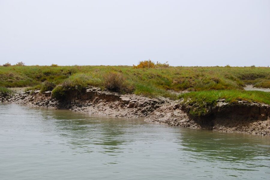 Faro: Ria Formosa Lagoon Small Boat Tour with Local Guide - Your Guide’s Personality Makes the Commentary Better