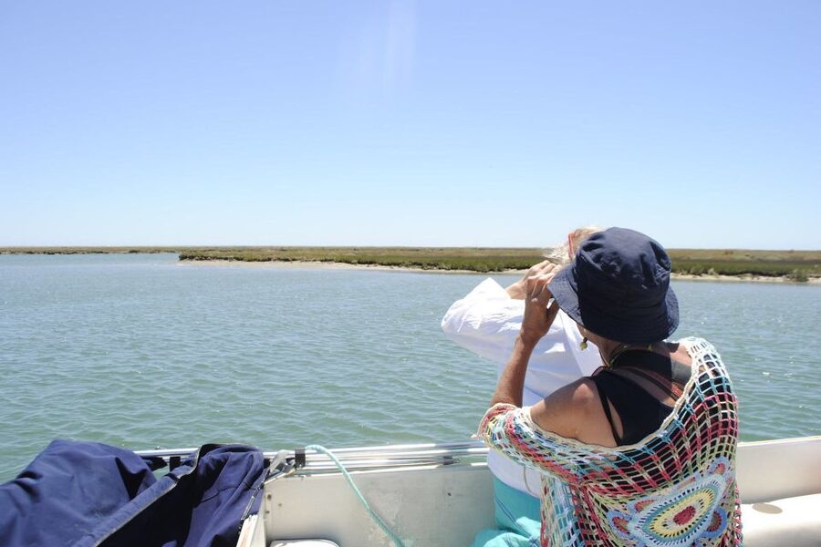 Faro: Ria Formosa Lagoon Small Boat Tour with Local Guide - Comfort, Rules, and Who This Tour Fits Best