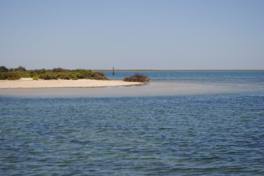 Faro: Ria Formosa Lagoon Small Boat Tour with Local Guide - What to Pack for a One-Hour Lagoon Cruise