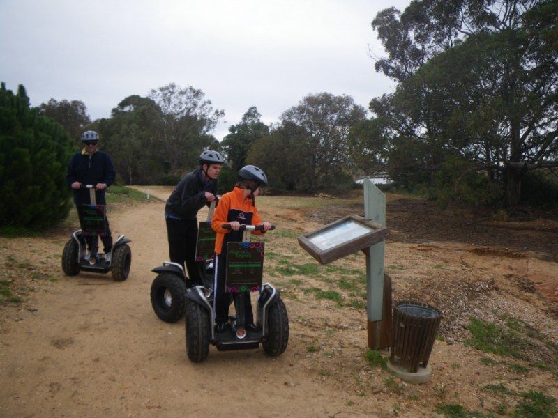 Faro: Ria Formosa Natural Park Segway Tour & Birdwatching - Seasons and bird expectations: what changes between spring and autumn